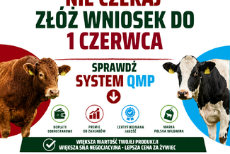 Dodatkowe pieniądze dla hodowców z QMP – tylko do 1 czerwca!