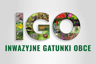 Ważne informacje ws. inwazyjnych gatunków obcych