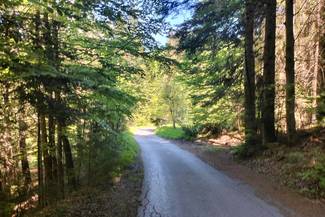 „ Remont drogi gminnej nr 440784K os. Polańscy na odcinku I w km od 0+019,00 do 0+082,00 , na odcinku II w km od 0+016,00 do 0+152,00 na odcinku III w km 0+160,00 do 0+891,00 w miejscowości Żarnówka, Gmina Maków Podhalański – ETAP I