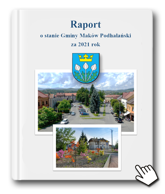 Raport w pliku pdf